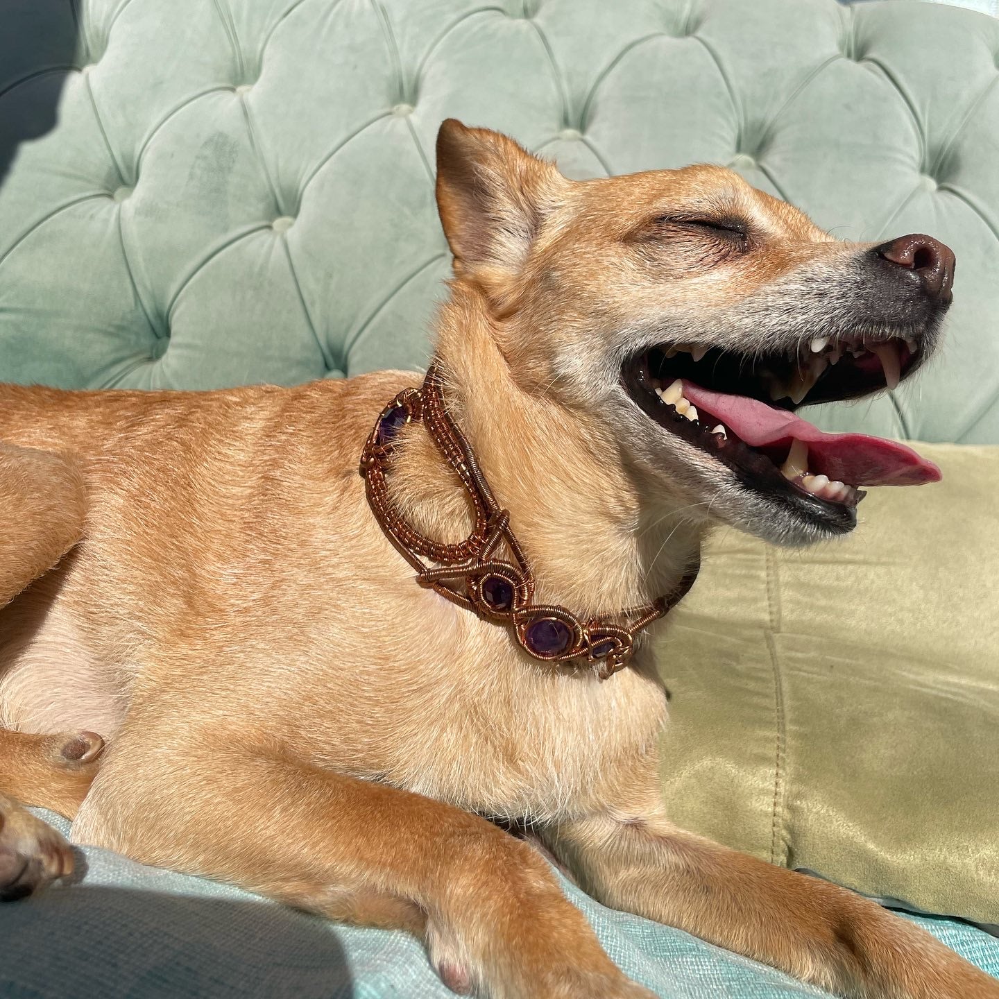 Amethyst Choker / Armband
